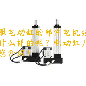 伺服電動(dòng)缸的部件電機(jī)結(jié)構(gòu)是什么樣的呢？電動(dòng)缸廠家為您介紹！