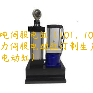 10噸伺服電缸（10T，10噸推力伺服電動(dòng)缸訂制生產(chǎn),10N電動(dòng)缸）