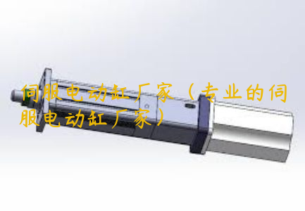 伺服電動缸廠家（專業(yè)的伺服電動缸廠家）